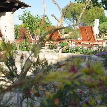 Pavlovi Dvori Holiday home *