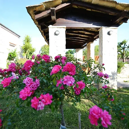 Pavlovi Dvori *