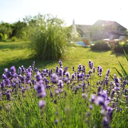 Pavlovi Dvori * Smilcic