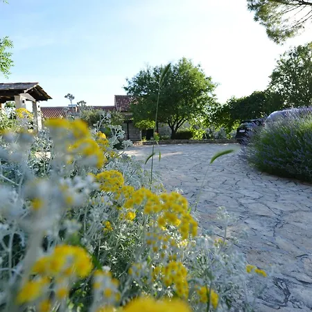 Prázdninový dům Pavlovi Dvori *