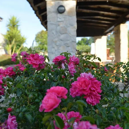 Prázdninový dům Pavlovi Dvori